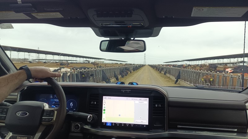 Kjøretur på fôrbrett.jpg