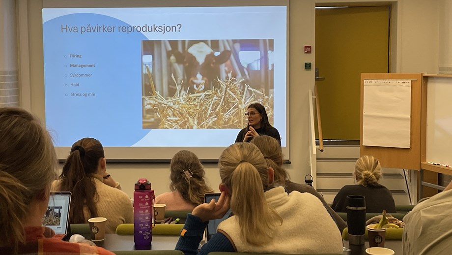 Møterommet hvor deltakerne vises bakfra og hvor de ser mot skjermen med presentasjonen. Julie underviser og står foran skjermen og ser utover forsamlingen.