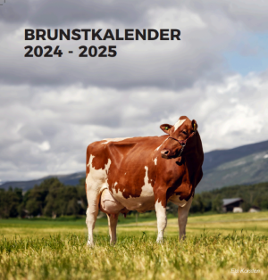 Bruntkalender_2024-2025_bilde.PNG