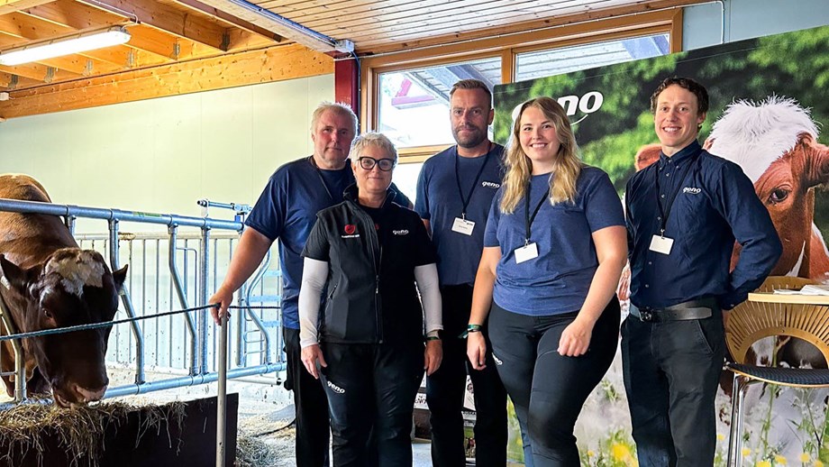 Geno sine ansatte og tillitsvalgte står oppstilt ved Geno sin stand på Dyrsku'n. En av oksene som er med vises i bingen på siden.