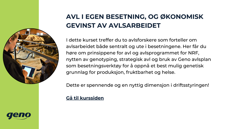 Avl_storfeskolen.png