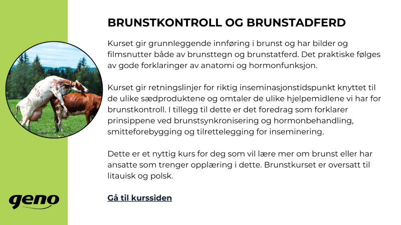 Brunst_storfeskolen.png