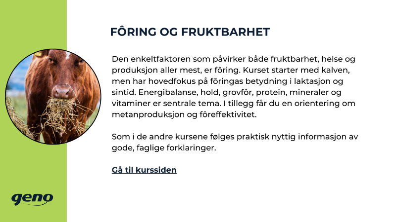 Fôring_storfeskolen.png