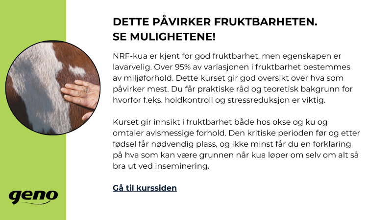 Fruktbarhet_storfeskolen.png