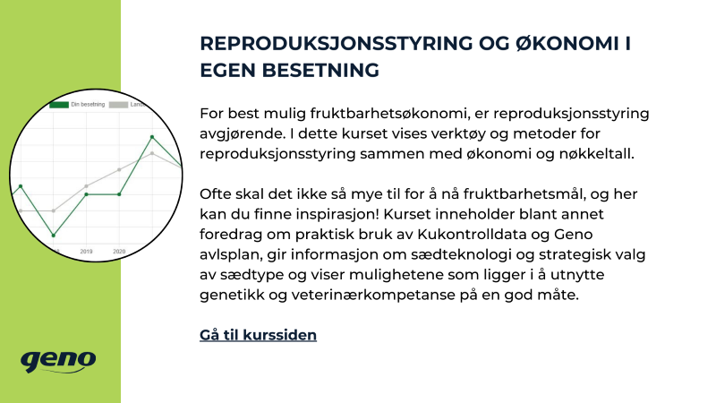 Økonomi_storfeskolen.png